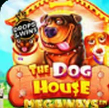 The Dog House Megaways — OroPlay Colombia